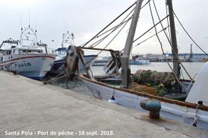11 SANTA POLA PORT DE PECHE (80)